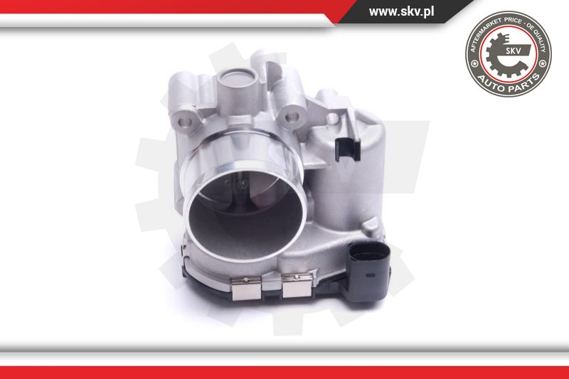 Throttle Body