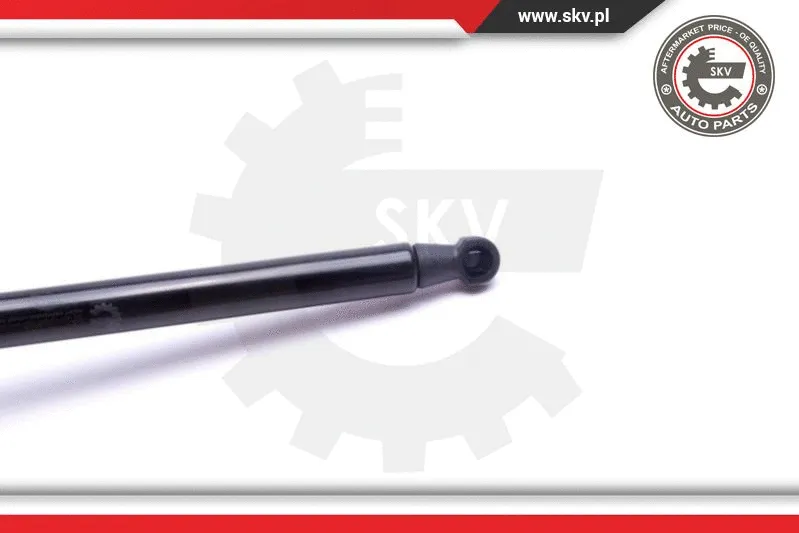 Gas Spring, boot/cargo area