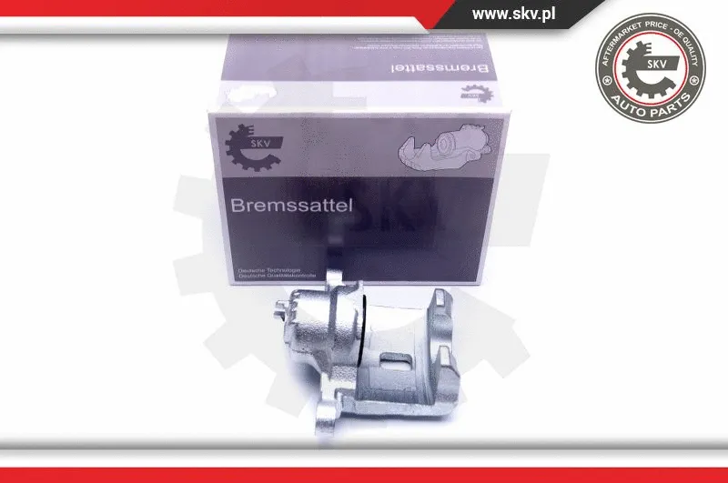Brake Caliper (42SKV954)