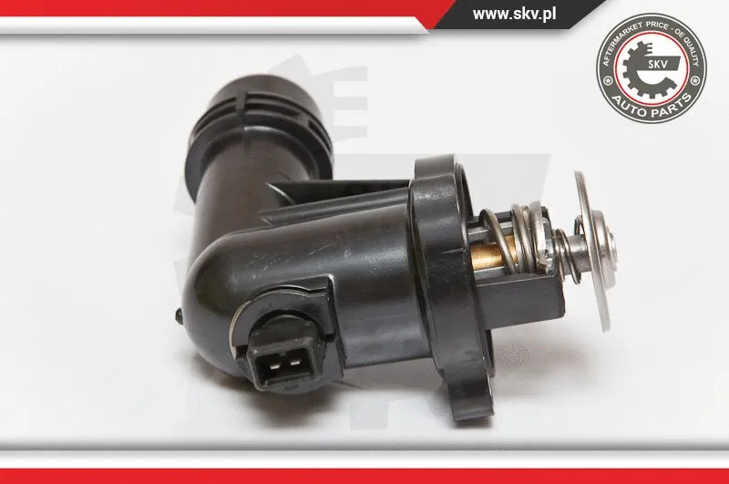 Thermostat, coolant