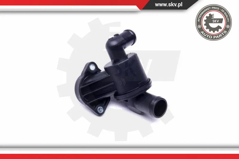 Thermostat, coolant