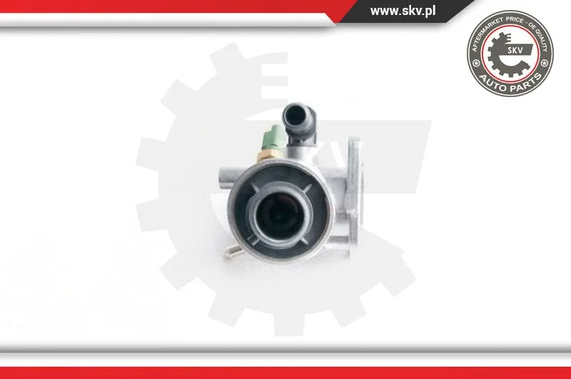 Thermostat, coolant