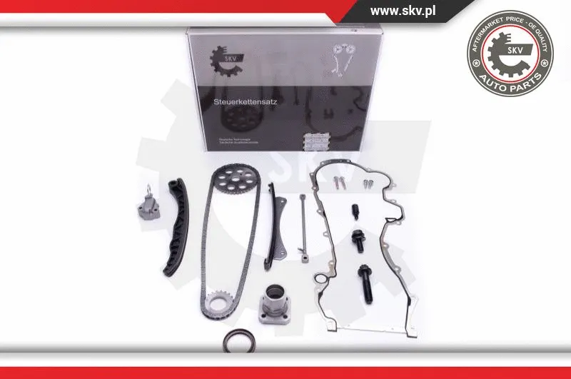 Timing Chain Kit (21SKV220)