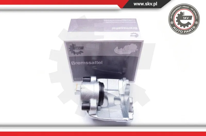 Brake Caliper (42SKV052)