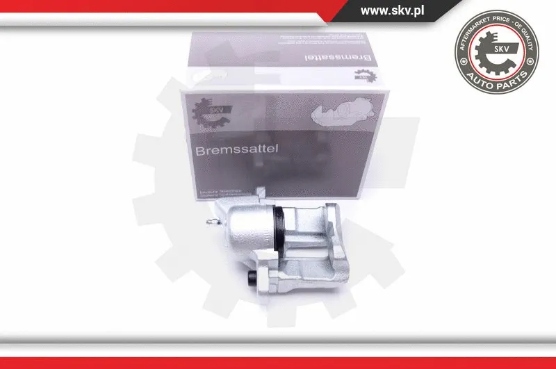 Brake Caliper (42SKV632)