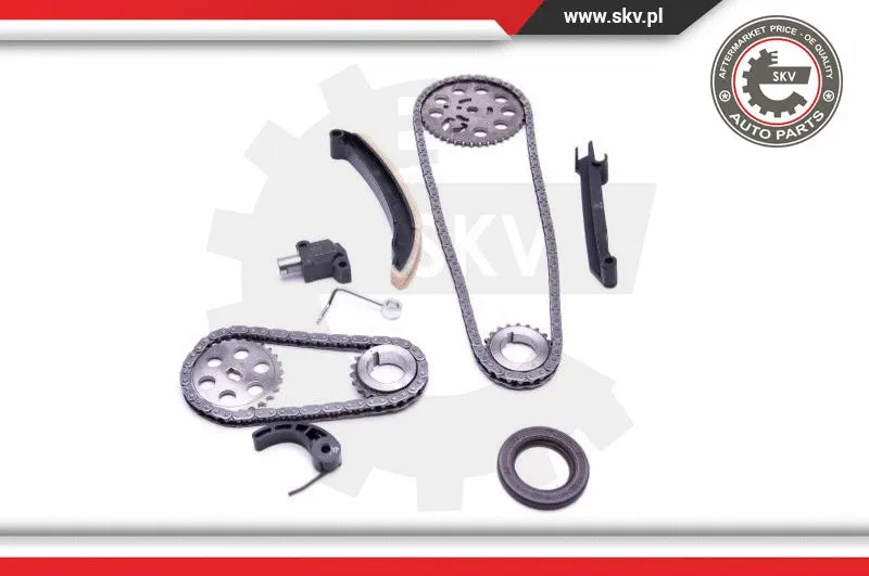 Timing Chain Kit