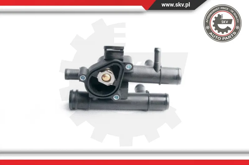 Thermostat, coolant