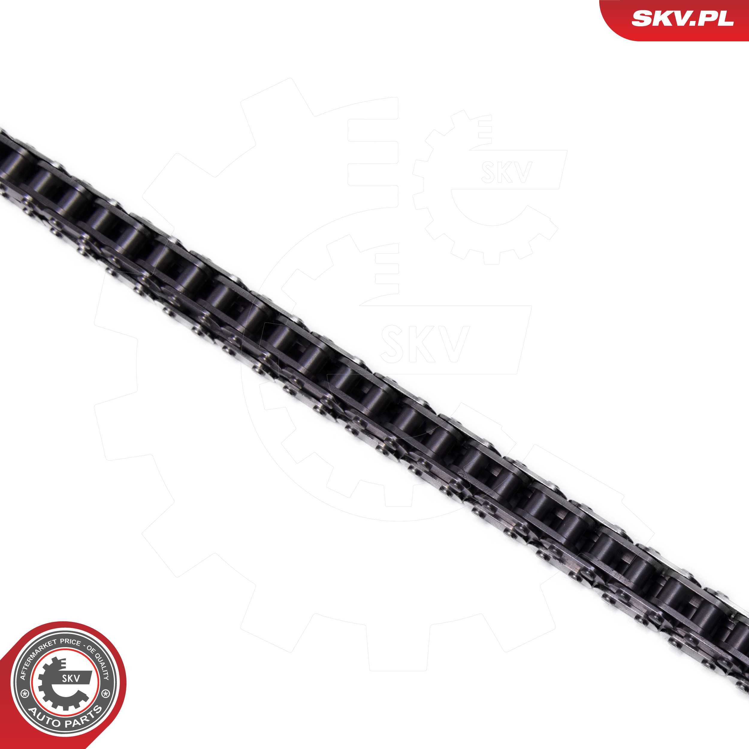 Timing Chain Kit
