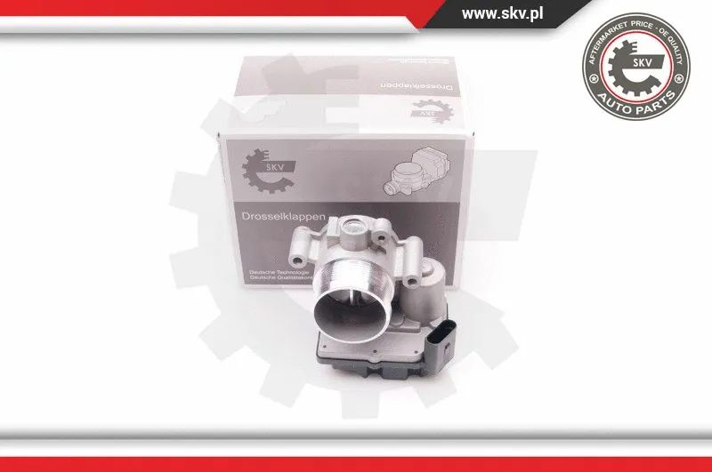 Throttle Body (12SKV064)