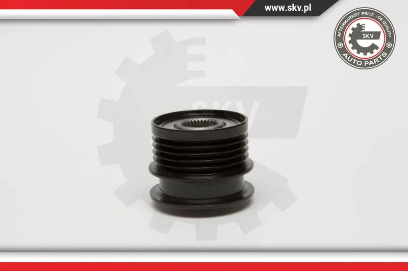 Alternator Freewheel Clutch