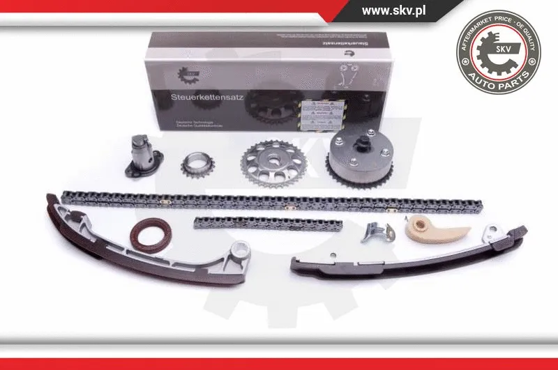 Timing Chain Kit (21SKV230)