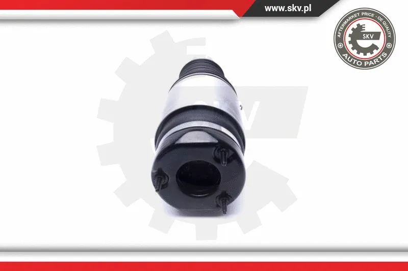 Air Suspension Strut