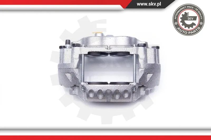 Brake Caliper (34SKV711)