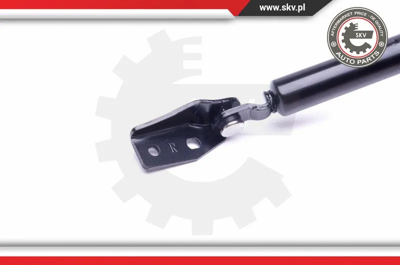 Gas Spring, boot/cargo area