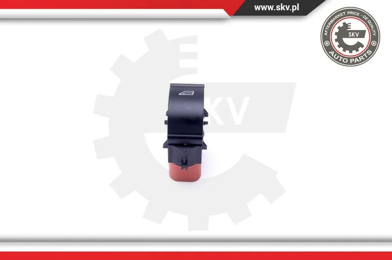 Switch, window regulator