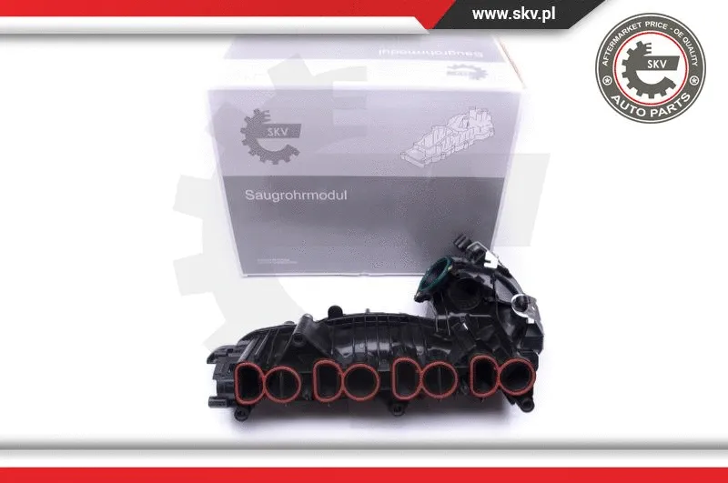 Intake Manifold Module (49SKV018)
