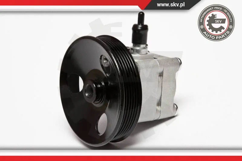 Hydraulic Pump, steering