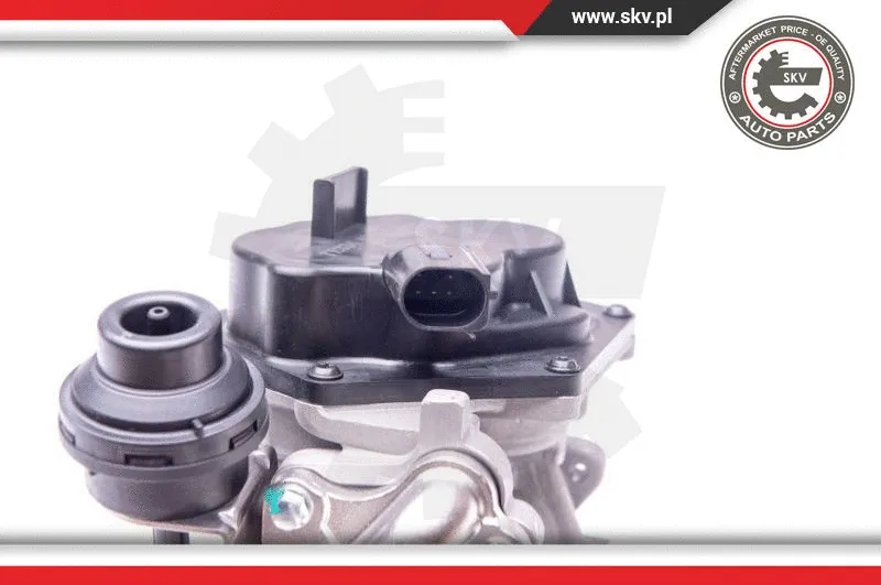 EGR Valve