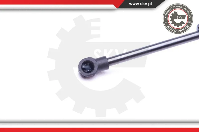 Gas Spring, boot/cargo area