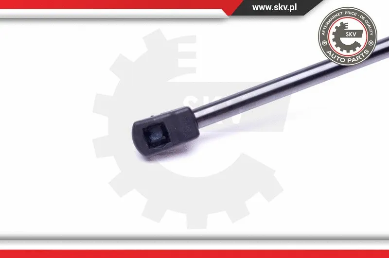 Gas Spring, boot/cargo area