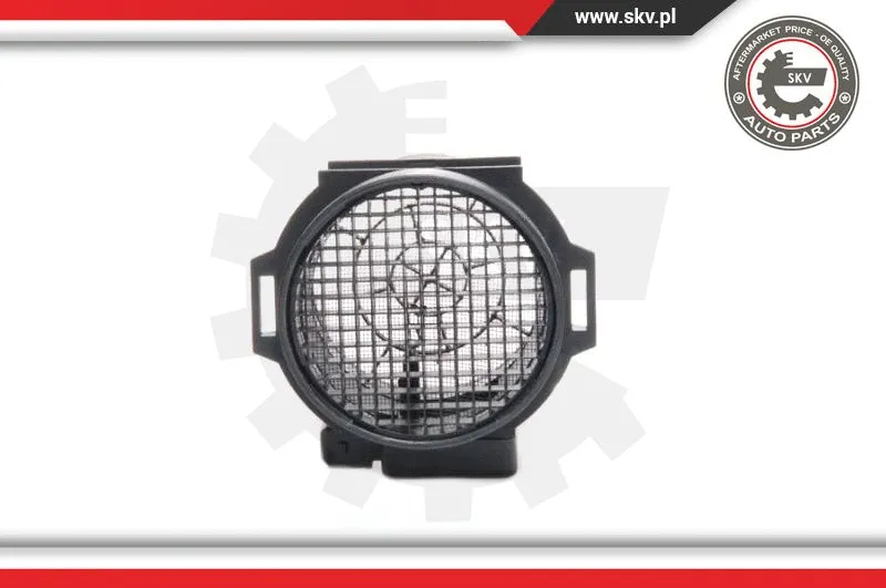 Mass Air Flow Sensor