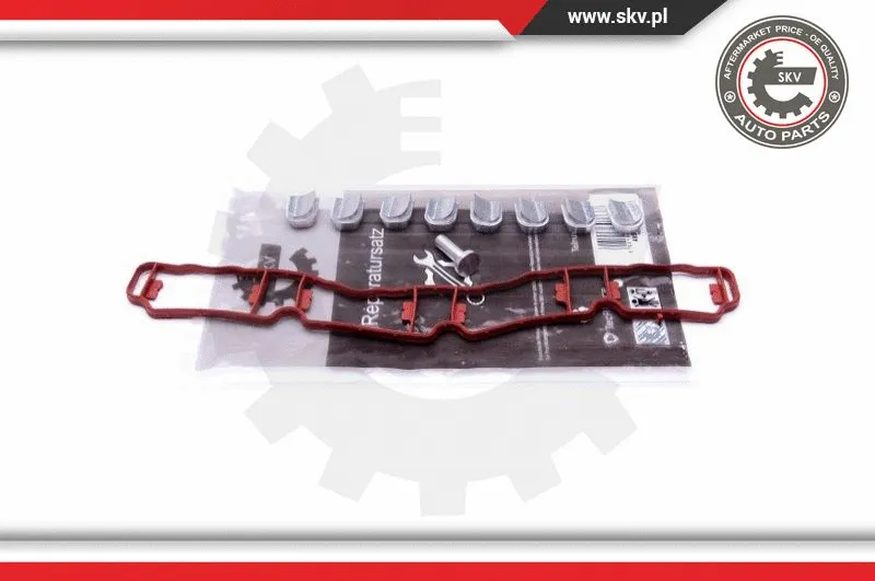 Repair Kit, intake manifold module (49SKV510)