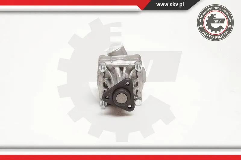 Hydraulic Pump, steering (10SKV005)