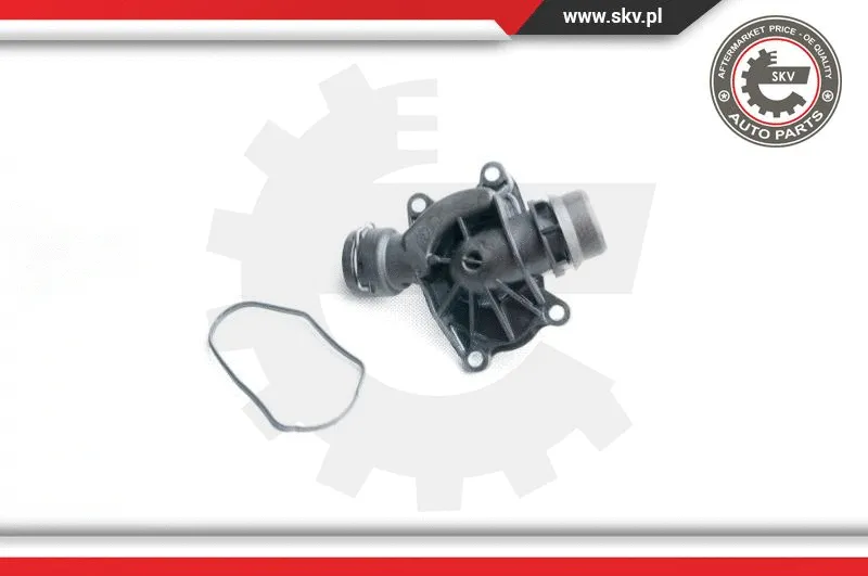 Thermostat, coolant