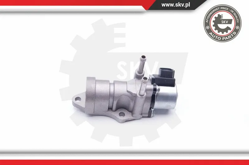 EGR Valve