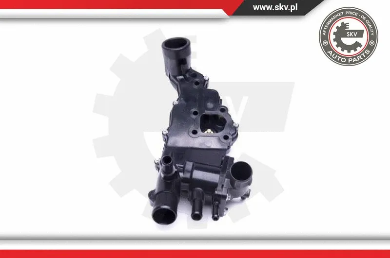 Thermostat, coolant
