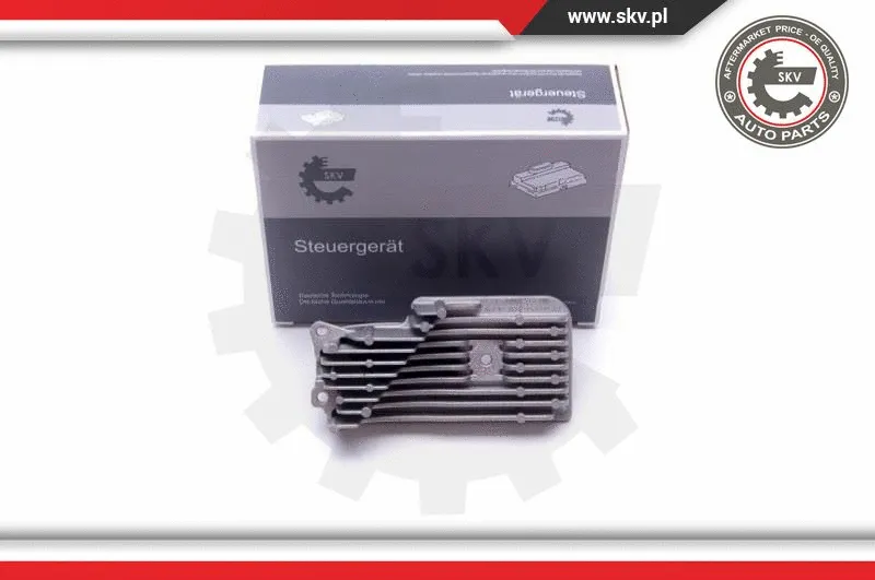 Control Unit, lights (59SKV124)