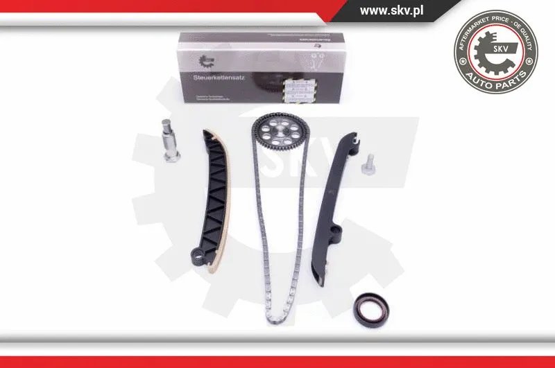 Timing Chain Kit (21SKV153)