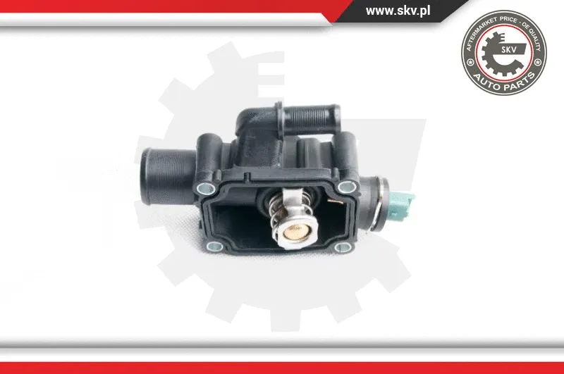 Thermostat, coolant