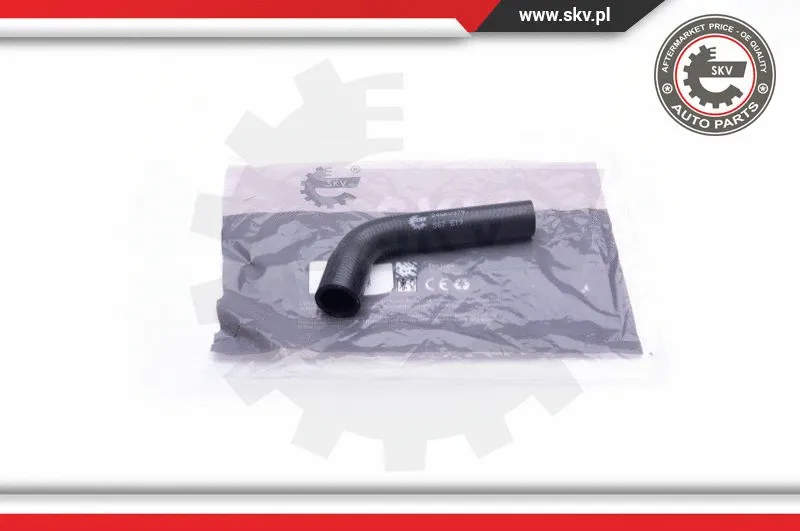 Radiator Hose (24SKV379)