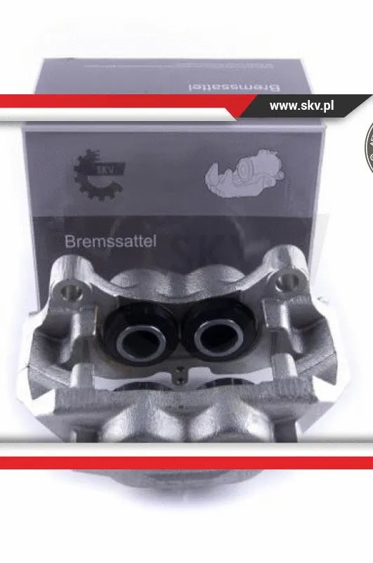 Brake Caliper (55SKV341)
