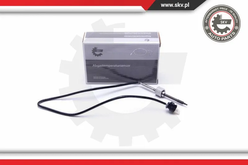 Sensor, exhaust gas temperature (30SKV359)