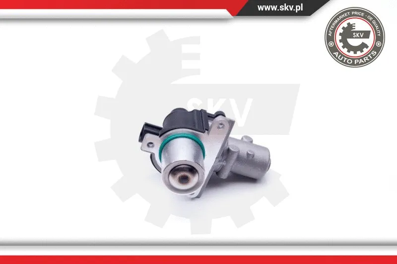 EGR Valve
