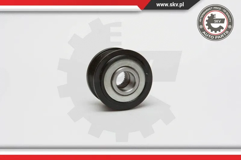 Alternator Freewheel Clutch (11SKV012)