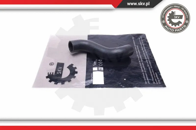 Radiator Hose (43SKV871)