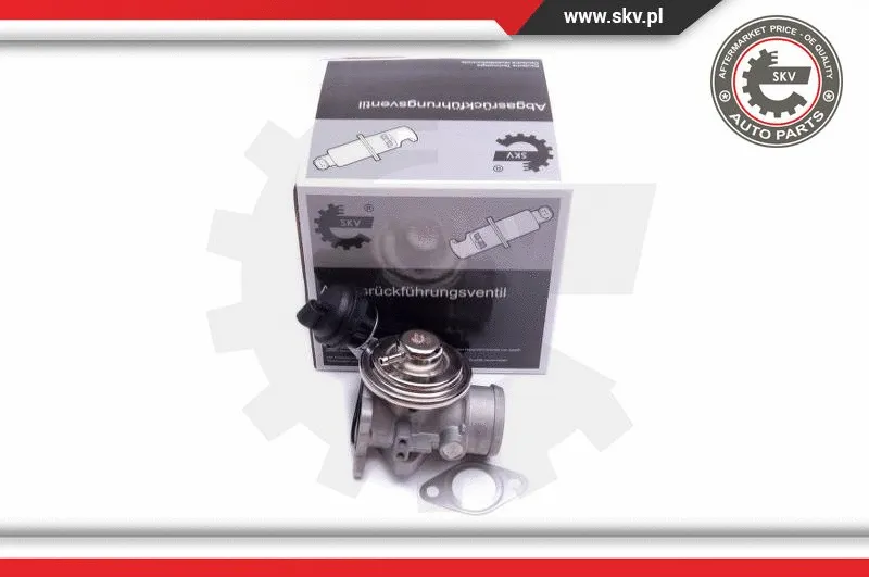 EGR Valve (14SKV206)