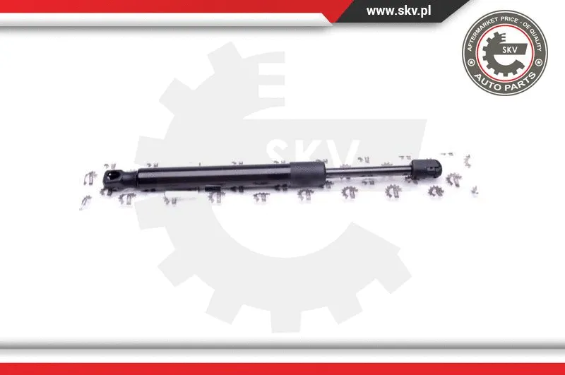 Gas Spring, boot/cargo area