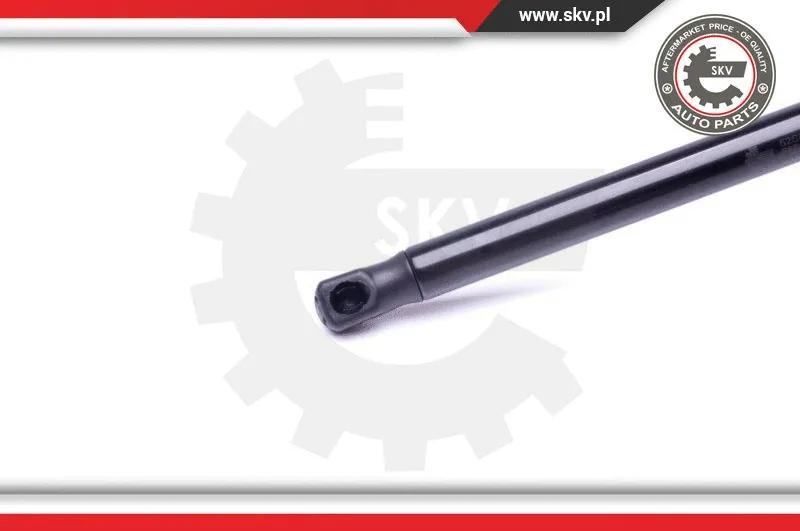 Gas Spring, boot/cargo area