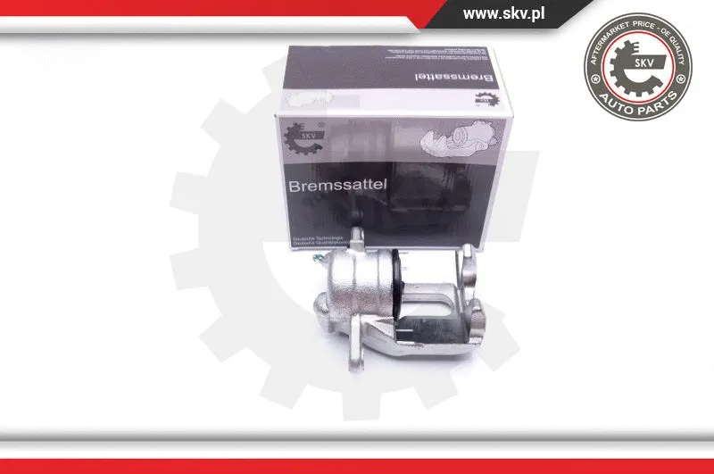 Brake Caliper (42SKV302)