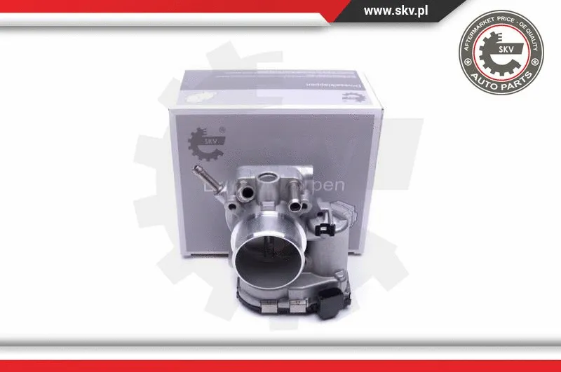 Throttle Body (12SKV098)