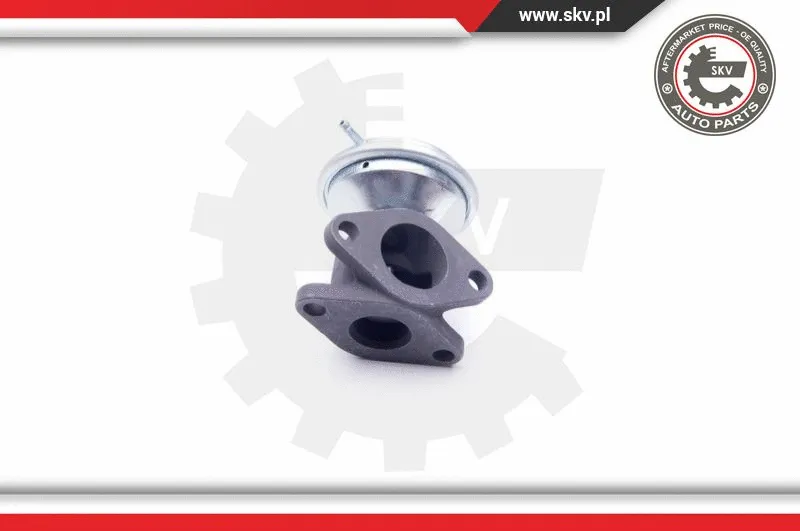 EGR Valve (14SKV183)
