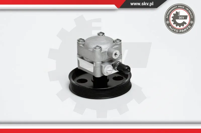 Hydraulic Pump, steering (10SKV176)