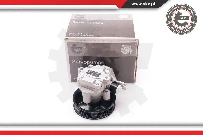 Hydraulic Pump, steering (10SKV214)