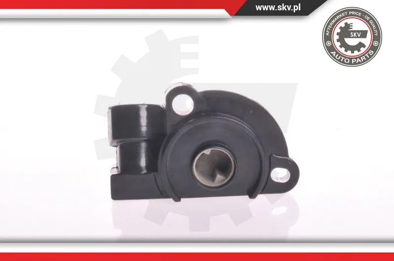 Sensor, throttle position (17SKV007)