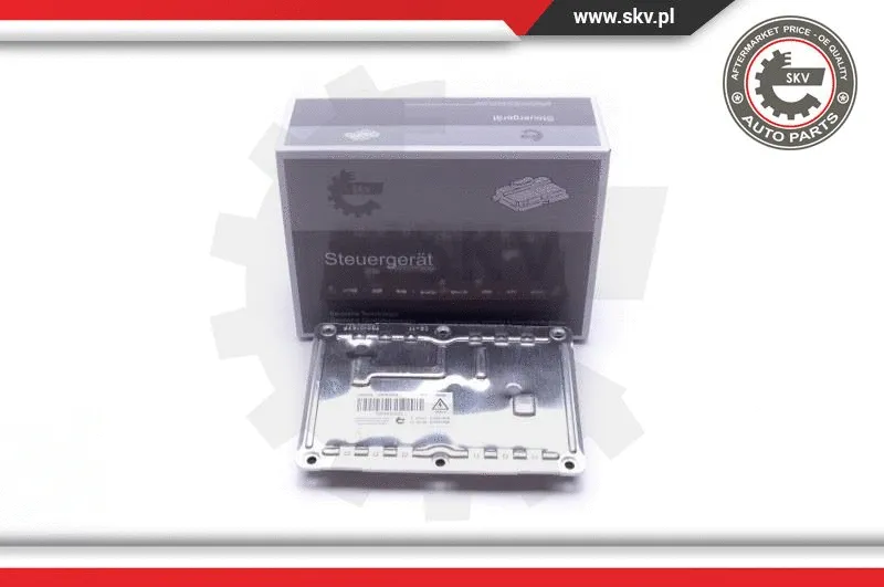 Control Unit, lights (59SKV022)