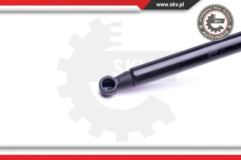 Gas Spring, boot/cargo area